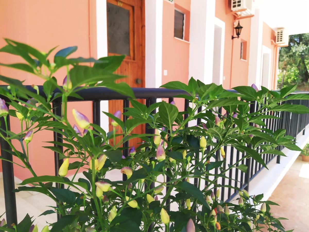 Apartahotel Aronis